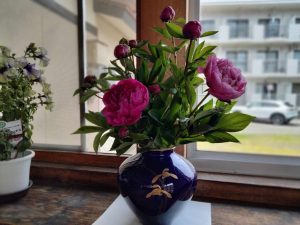 img20250604112508