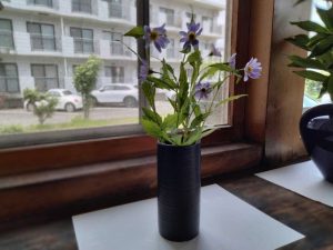 img20250604112820