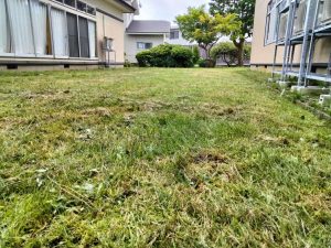 line_note_250928_5