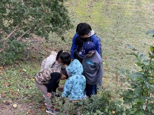 4a2cdfc4-4d4f-4f8e-9f0a-05231e52cc5e