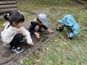 f822fecc-203d-48db-ae19-2bbabe8e2bfb