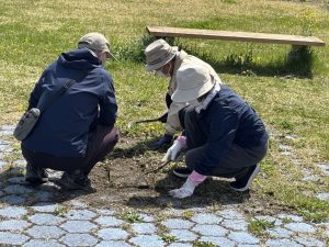 1b8d3f5f-fe7e-4c55-aaa3-d61fab03b4fb