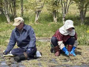 547d47f2-85f5-454a-a98d-81f02610eb7b