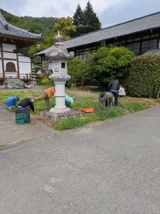 pxl_20260429_001411356