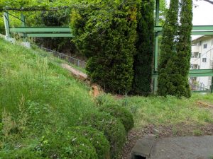 pxl_20260429_004138164