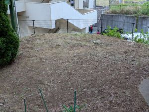 pxl_20260429_022643425
