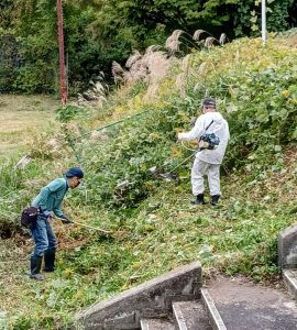 662f9e4f-62e9-4cb8-8def-6eb923c53cd71