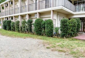 81f45648-b4cb-42ae-b03f-1b91ddeee63b1