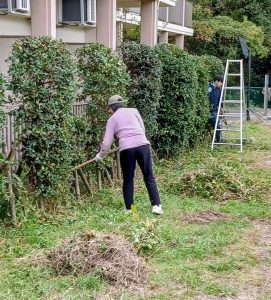 aa3b870b-08b2-47af-a8e2-7fee4a5e18701