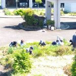 img_2025-04-29-09-23-46-166