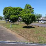 img_2025-04-29-11-06-39-454