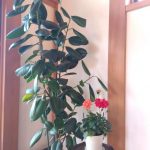 img_2025-11-01-08-48-43-628