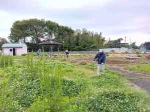 img_2026-04-29-09-23-42-524