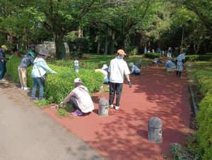 img_20250429_094906