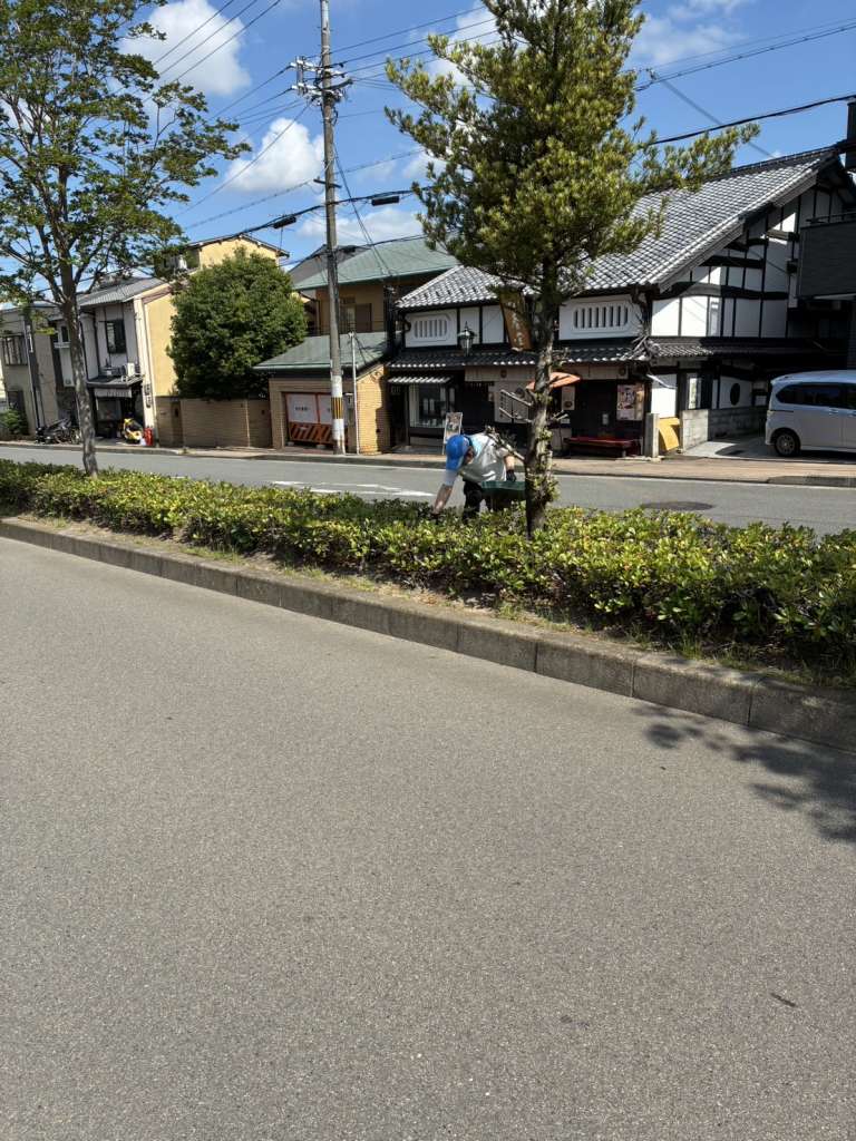 s__18112528_0