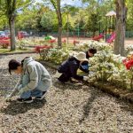 line_album_2025429-%e3%81%b2%e3%81%ae%e3%81%8d%e3%81%97%e3%82%93%e3%83%87%e3%83%bc_260407_4