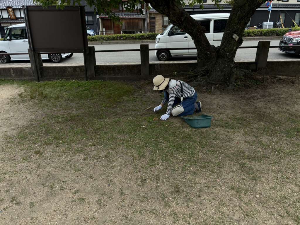 s__23486475_0