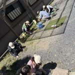 s__47857683