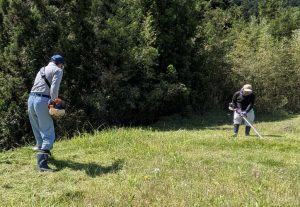 pxl_20260510_004940685