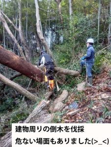 %e5%80%92%e6%9c%a8%e4%bc%90%e6%8e%a1