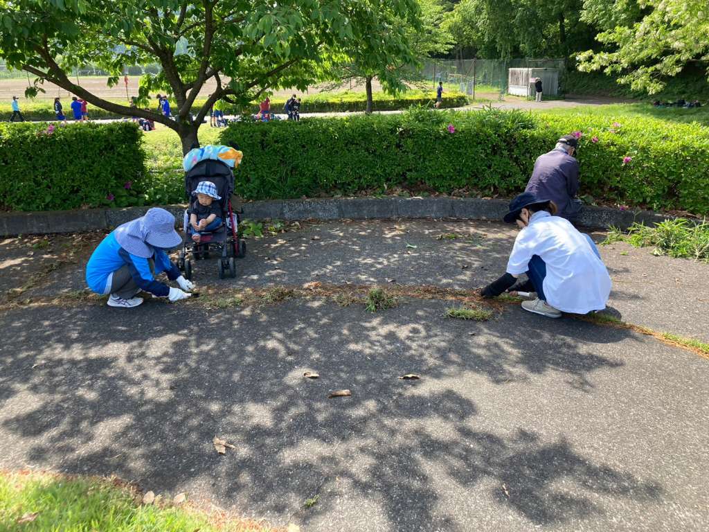 line_album_186-%e3%81%b2%e3%81%ae%e3%81%8d%e3%81%97%e3%82%93%e3%83%87 ...