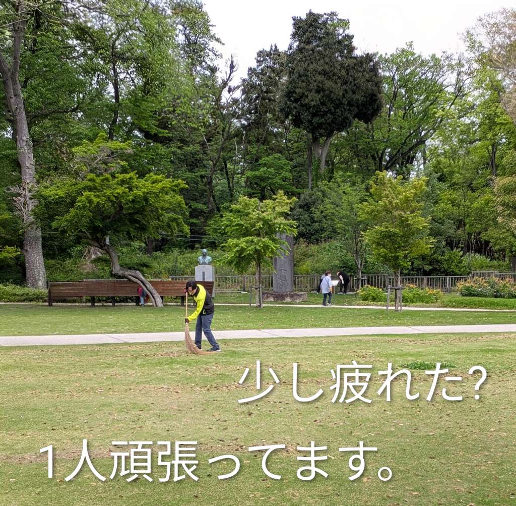 pxl_20260429_0023372702