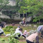 point-blur_20260503_161359